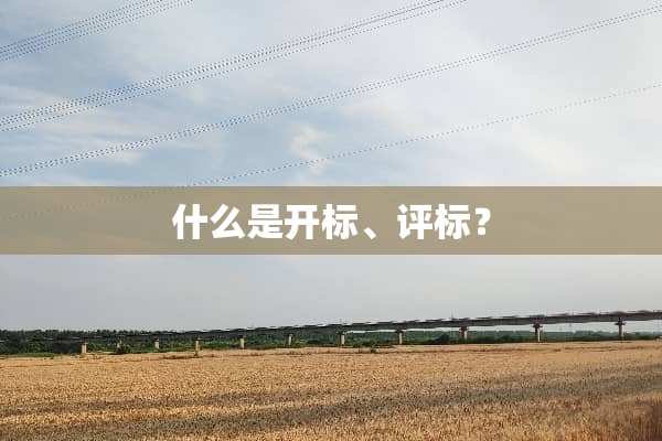 什么是开标、评标？