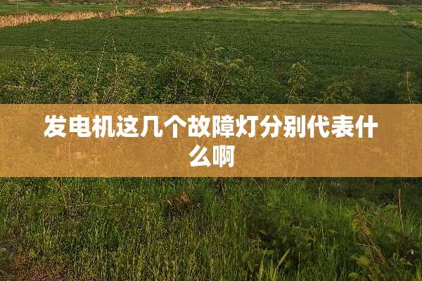 发电机这几个故障灯分别代表什么啊