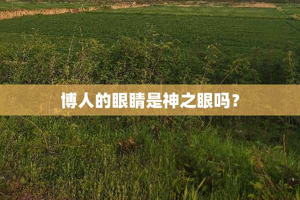 博人的眼睛是神之眼吗？