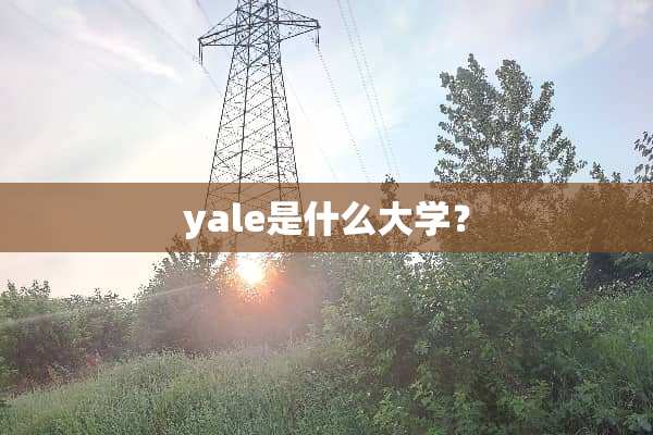 yale是什么大学？