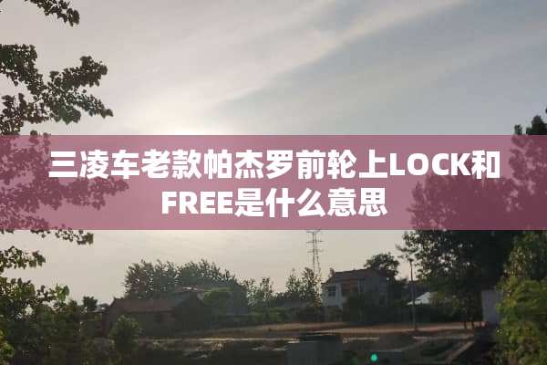 三凌车老款帕杰罗前轮上LOCK和FREE是什么意思