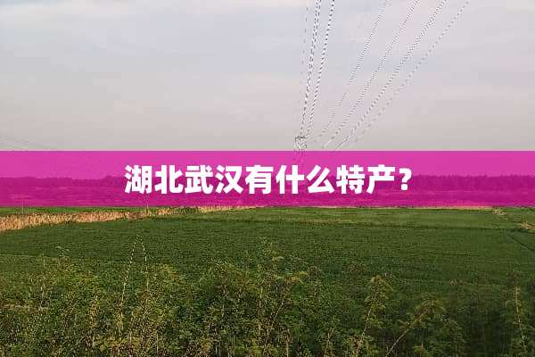 湖北武汉有什么特产？