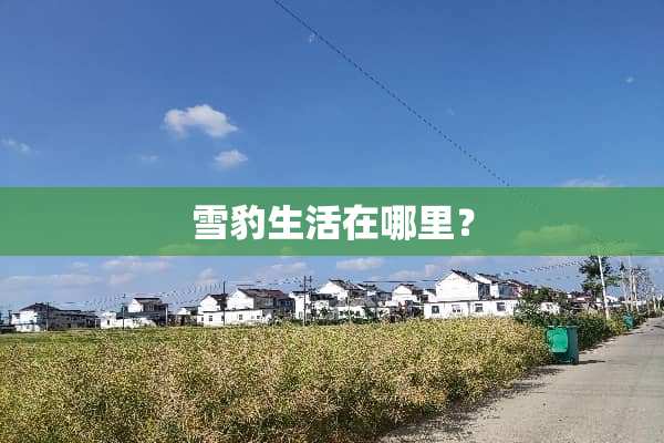 雪豹生活在哪里？