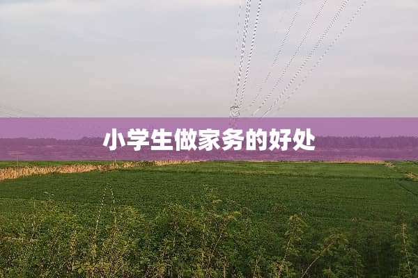 小学生做家务的好处