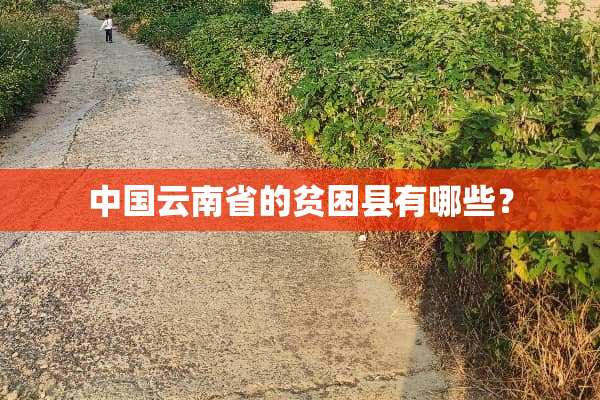 中国云南省的贫困县有哪些？