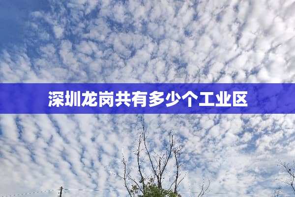深圳龙岗共有多少个工业区