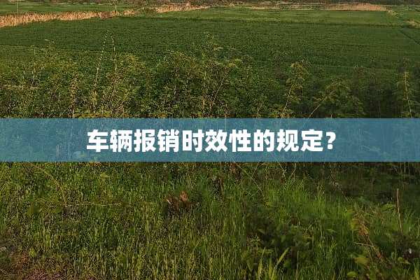 车辆报销时效性的规定？