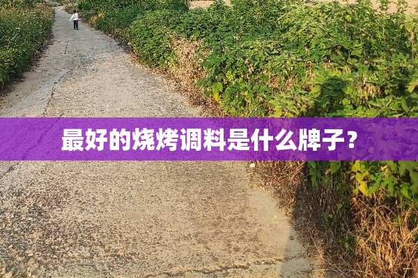 最好的烧烤调料是什么牌子？