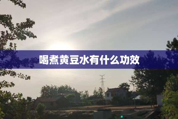 喝煮黄豆水有什么功效
