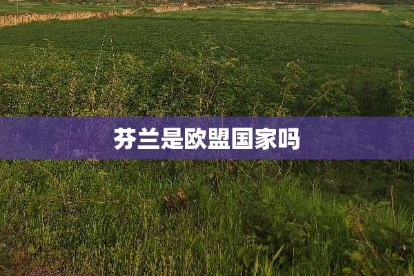 芬兰是欧盟国家吗