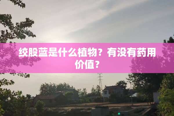 绞股蓝是什么植物？有没有药用价值？