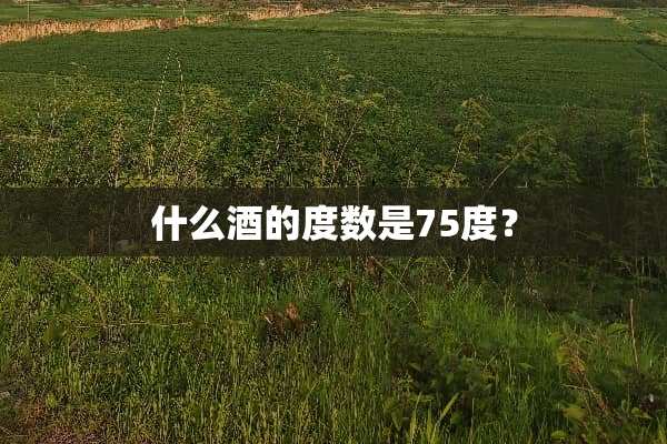 什么酒的度数是75度？
