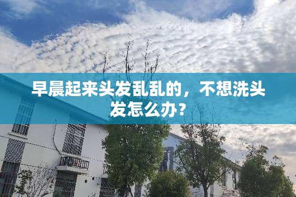 早晨起来头发乱乱的，不想洗头发怎么办？