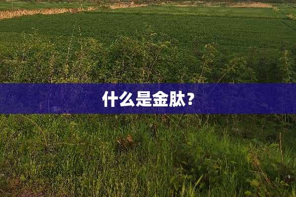 什么是金肽？