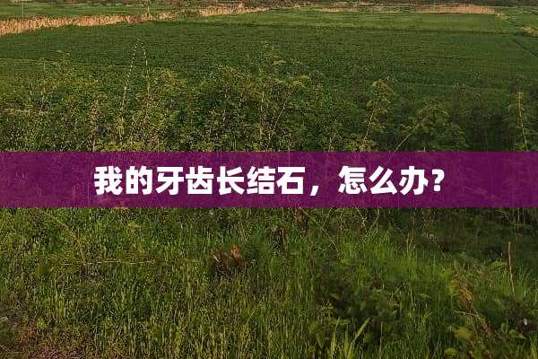 我的牙齿长结石，怎么办？