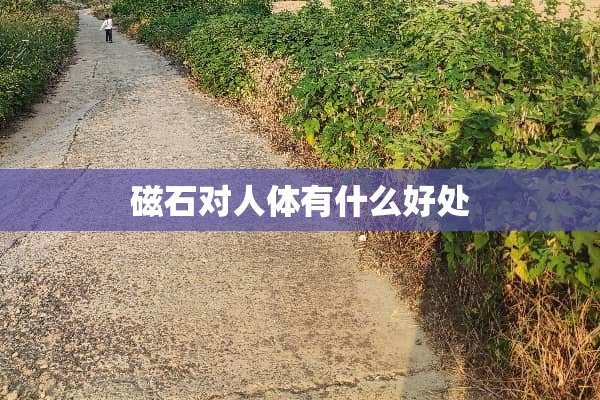 磁石对人体有什么好处