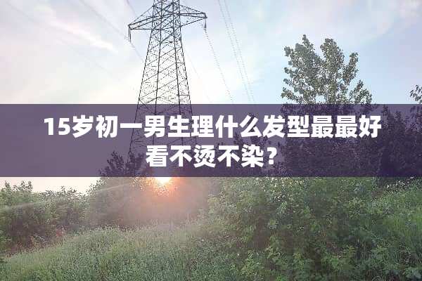 15岁初一男生理什么发型最最好看不烫不染？