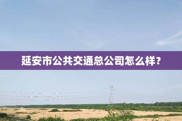 延安市公共交通总公司怎么样？