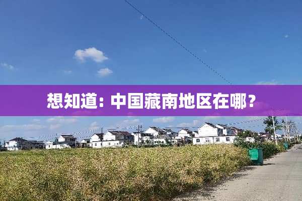 想知道: 中国藏南地区在哪？
