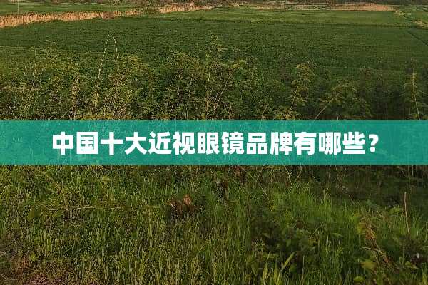中国十大近***品牌有哪些？