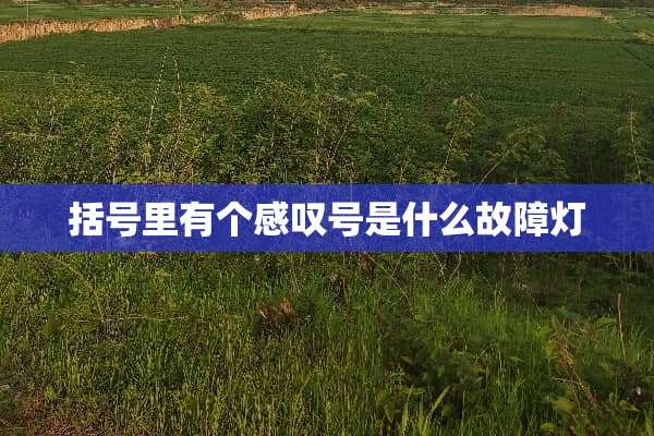 括号里有个感叹号是什么故障灯