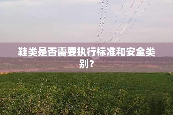 鞋类是否需要执行标准和安全类别？