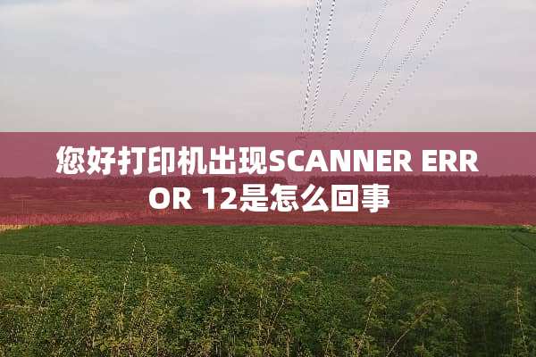 您好打印机出现SCANNER ERROR 12是怎么回事