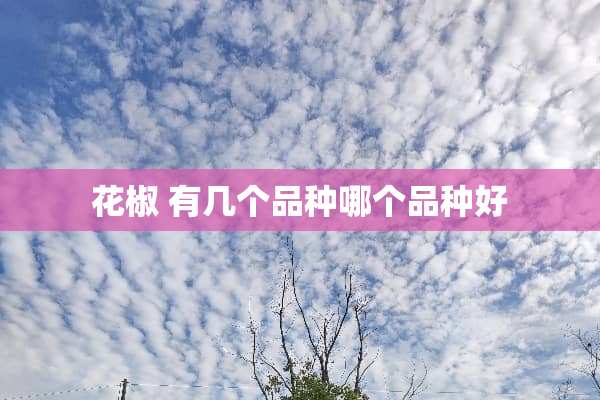 花椒 有几个品种哪个品种好