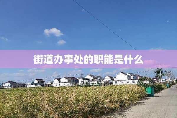 街道办事处的职能是什么