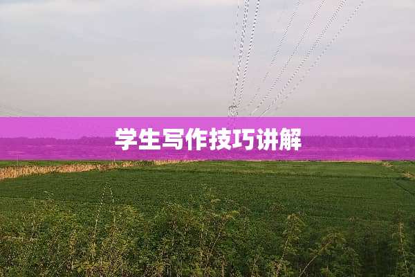 学生写作技巧讲解