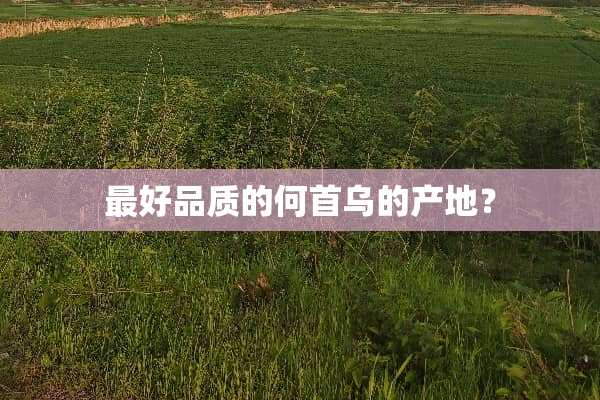 最好品质的何首乌的产地？