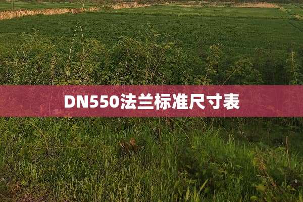 DN550法兰标准尺寸表