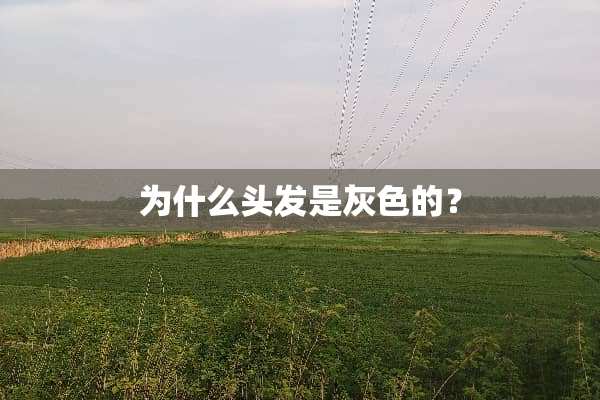 为什么头发是灰色的？