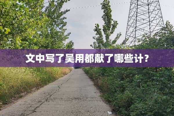 文中写了吴用都献了哪些计？