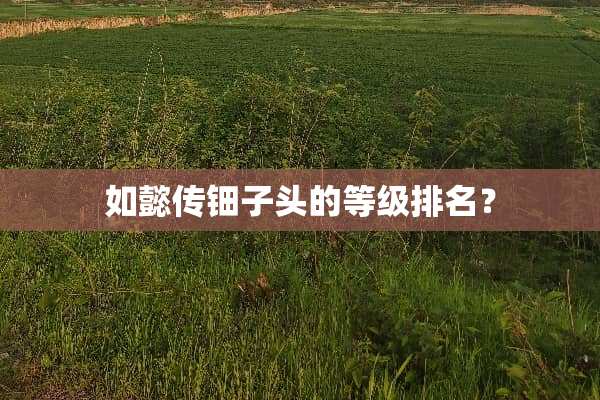 如懿传钿子头的等级排名？