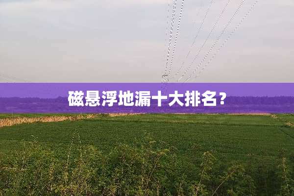 磁悬浮地漏十大排名？