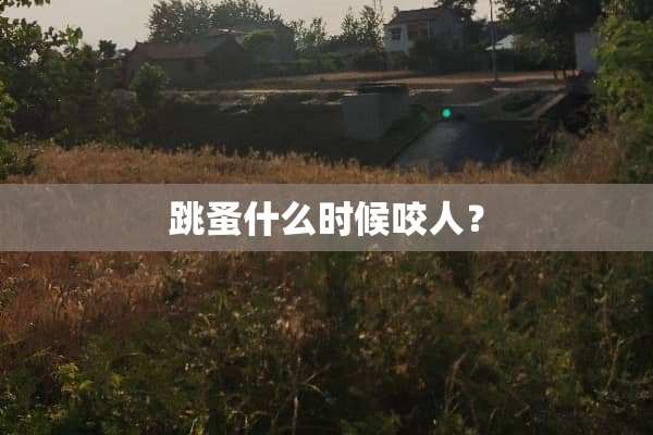 跳蚤什么时候咬人？