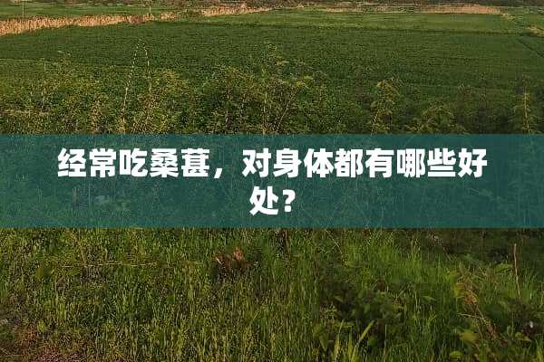 经常吃桑葚，对身体都有哪些好处？