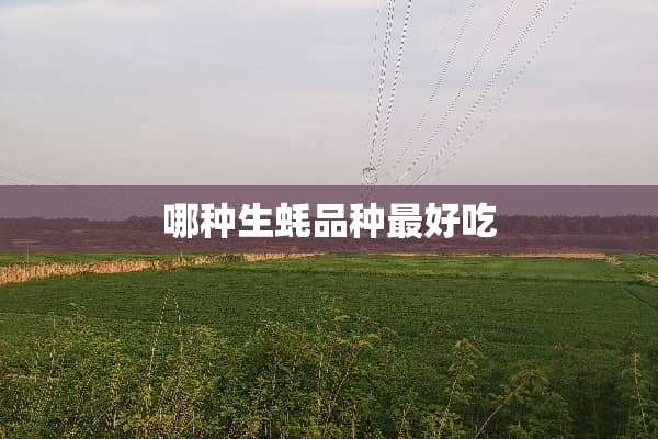 哪种生蚝品种最好吃