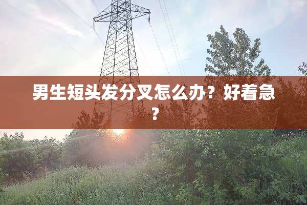 男生短头发分叉怎么办？好着急？