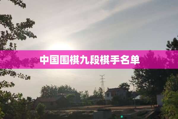 中国围棋九段棋手名单