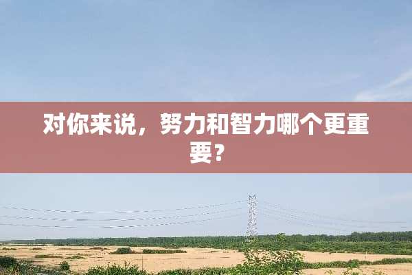 对你来说，努力和智力哪个更重要？