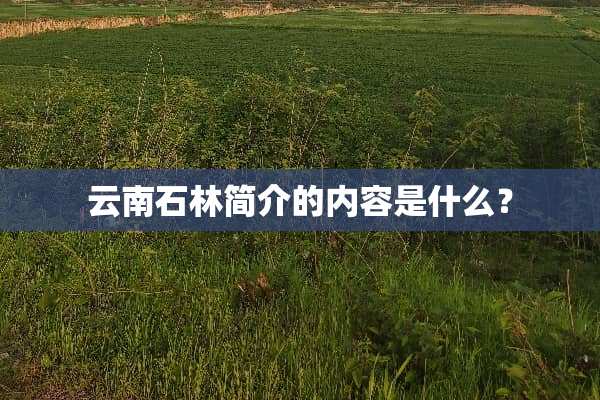 云南石林简介的内容是什么？