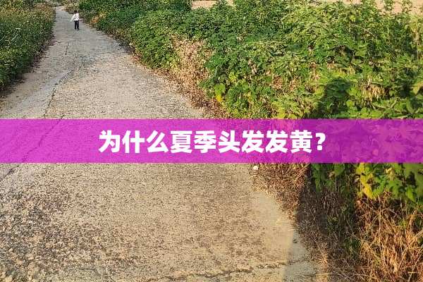 为什么夏季头发发黄？