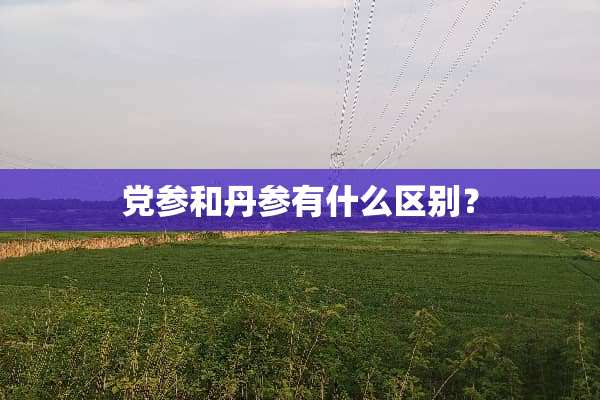 *参和丹参有什么区别？