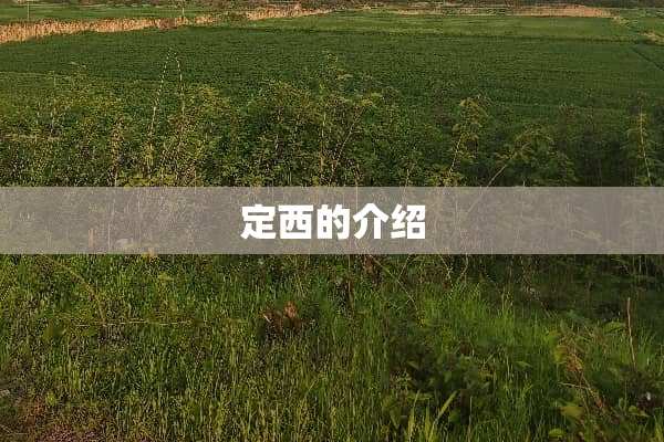 定西的介绍