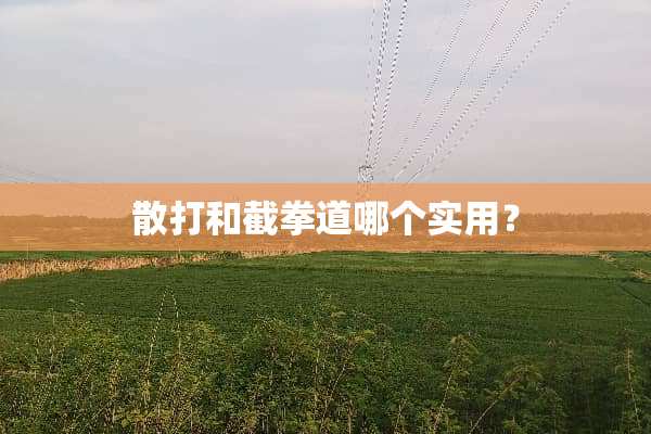 散打和截拳道哪个实用？