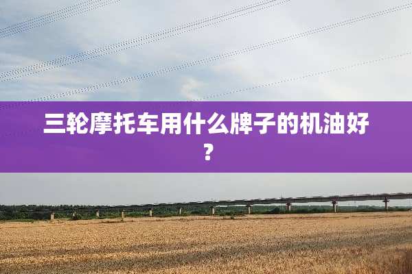 三轮摩托车用什么牌子的机油好？