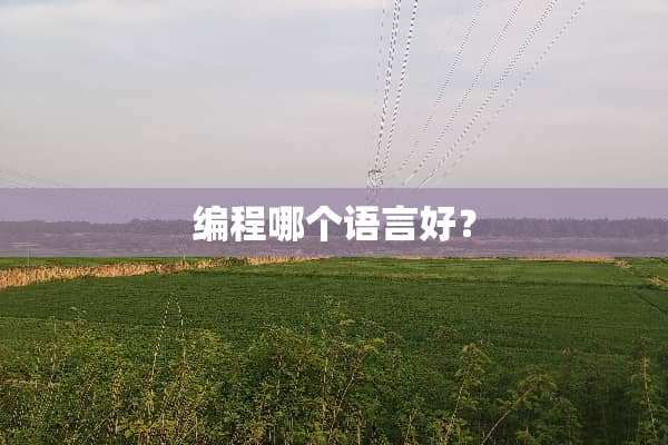 编程哪个语言好？