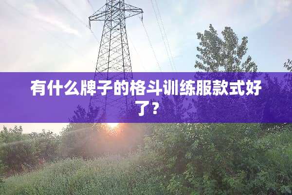 有什么牌子的格斗训练服款式好了？